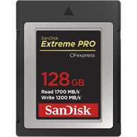 Карта пам'яті SanDisk 128 GB CFexpress Type B Extreme PRO (SDCFE-128G-GN4NN)