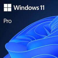 Microsoft Windows 11 Pro (64-Bit, OEM DVD) FQC-10529