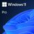 Microsoft Windows 11 Pro (64-Bit, OEM DVD) FQC-10529