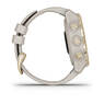 Мультиспортивные часы для дайвинга Garmin Mk2S Light Gold with Light Sand Silicone Band