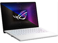 Ноутбук ASUS ROG Zephyrus G14 GA402RK (GA402RK-L8091W)