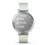Смарт-годинник Garmin Lily 2 Classic Silver with Sage Gray Nylon Band