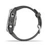 Спортивные часы Garmin Fenix 7S Silver with Graphite Band