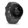 Спортивные часы Garmin Forerunner 255 Slate Gray