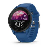 Спортивные часы Garmin Forerunner 255 Tidal Blue