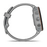 Спортивные часы Garmin Forerunner 255s Powder Gray