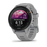 Спортивные часы Garmin Forerunner 255s Powder Gray
