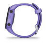 Спортивные часы Garmin Forerunner 45s Iris