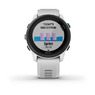 Спортивные часы Garmin Forerunner 745 Whitestone