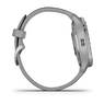 Спортивные часы Garmin Venu 2 Plus Silver Stainless Steel Bezel with Powder Gray Case and Silicone Band