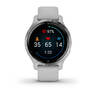 Спортивные часы Garmin Venu 2S Silver Stainless Steel Bezel with Mist Gray Case and Silicone Band