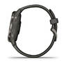Спортивные часы Garmin Venu 2S Slate Stainless Steel Bezel with Graphite Case and Silicone Band